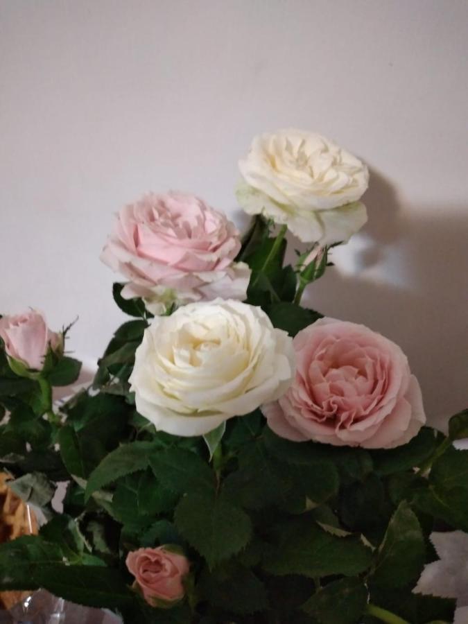ナポリCasa Anto'アパートメント エクステリア 写真